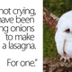 Illustration for article titled Is This the Saddest Owl In the History of Saddest Owls? Discuss